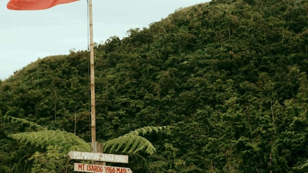 2025 Georgia TikTok tam kateqoriya reklam qiymətləri Azərbaycanda