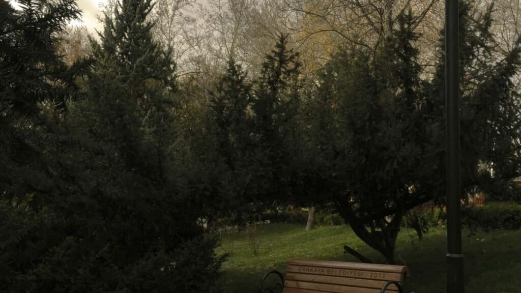 2025 Belarus Instagram Üzrə Tam Kateqoriya Reklam Qiymətləri