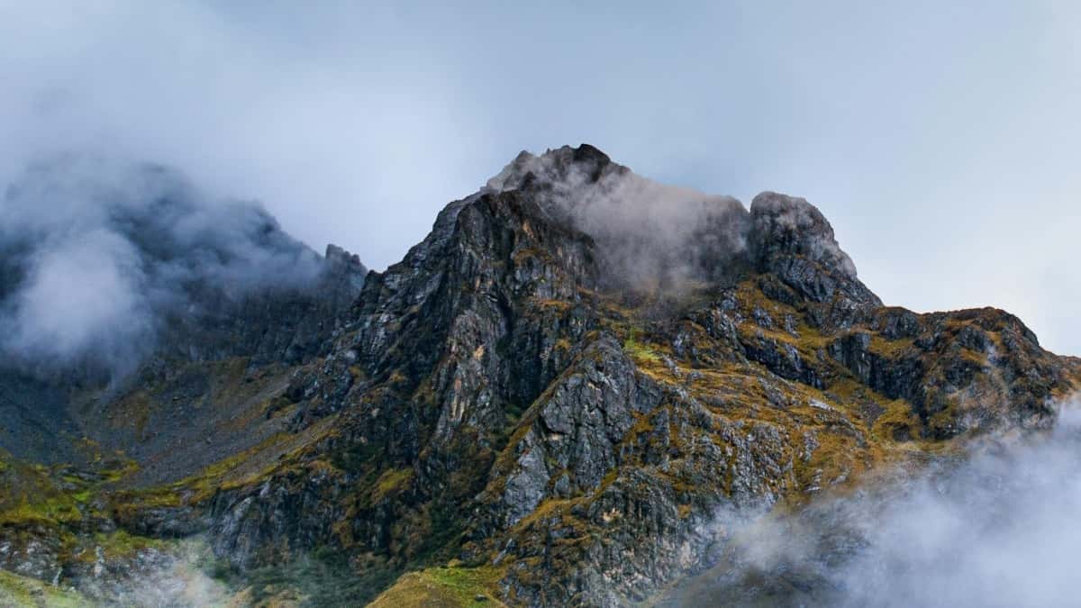 2025 Rusiyada Instagram Reklam Kategoriyaları və Qiymətləri