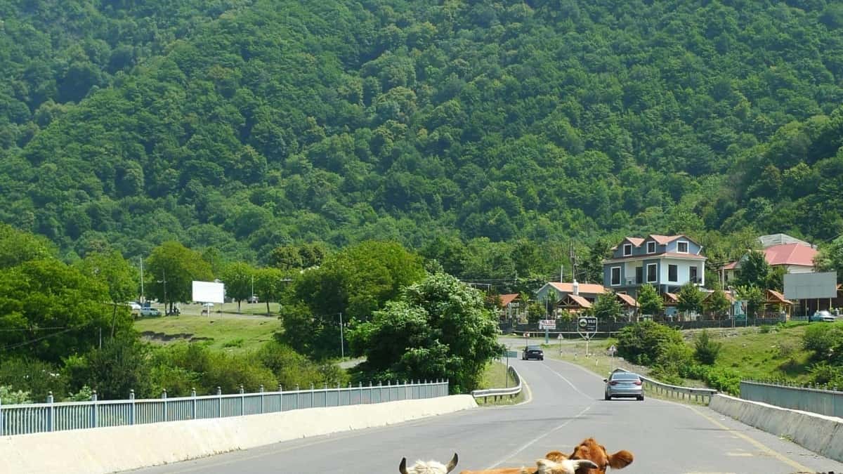 Rusiya Roposo yaradıcılarını tapın — sürətli strategiya