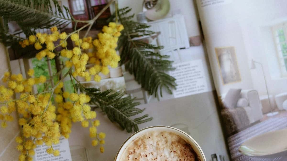 Creators: Reach Laos Brands on Chingari & Share Local Gems