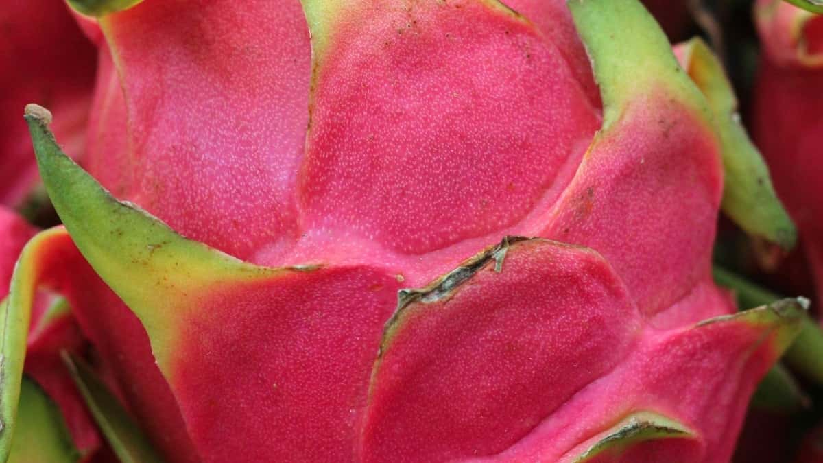 Ukrayna brendlərini Apple Music-də wellness kampaniyasına necə çatdırmaq