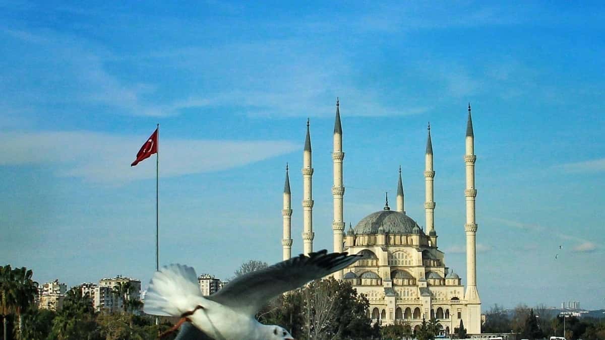 Threads-də Böyük Britaniya markalarına necə çatmaq və stil çağırışlarında əməkdaşlıq etmək?