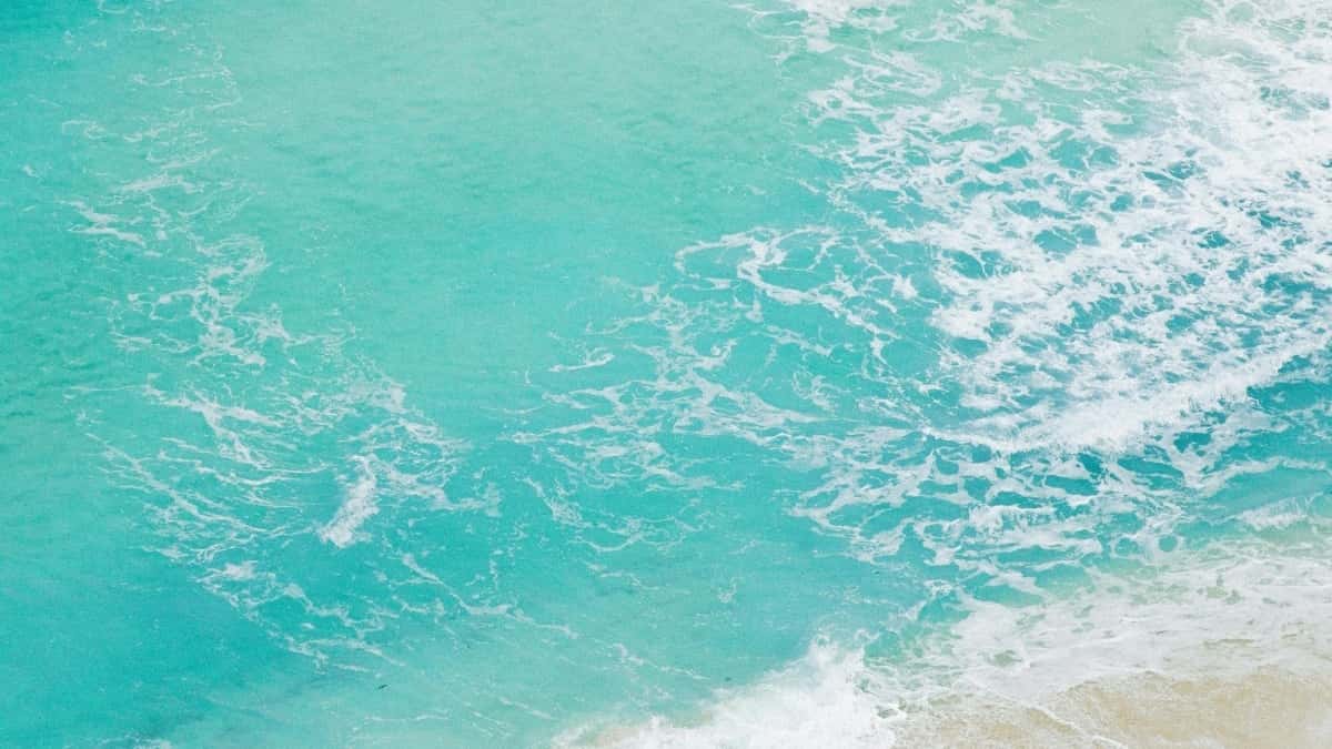 Norveç markalarına WhatsApp ilə necə çatmaq?