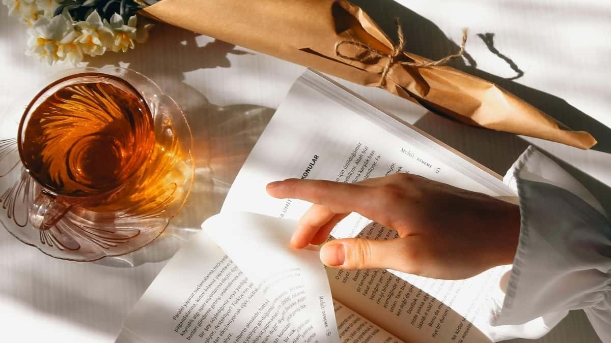 Kreatorlar: Ukrayna markalarını TikTok-da necə cəlb etmək?