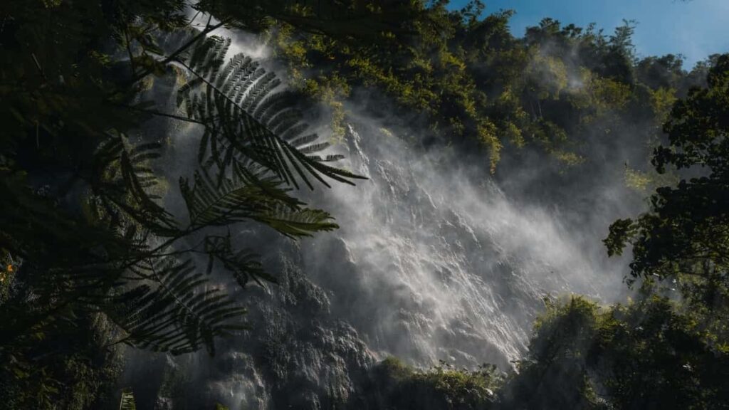 Kuveytd markalarla Snapchat uzrindn UGC furstlri nec qazanmaq: yerli davranslar, laq taktikalr, huquqi mqamlar v praktiki addmlar.