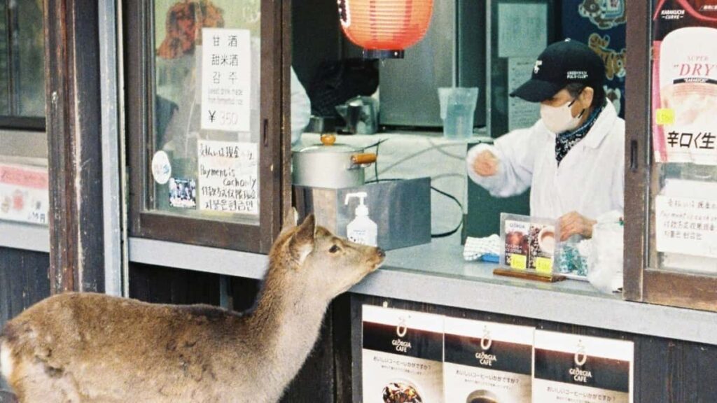 Simali Makedoniya Telegram yaradclarn tapmaq, yoxlamaq v orijinal rylr ld etmk ucun praktik, yerli yonumlu addmlar v risk-mslhtlri.