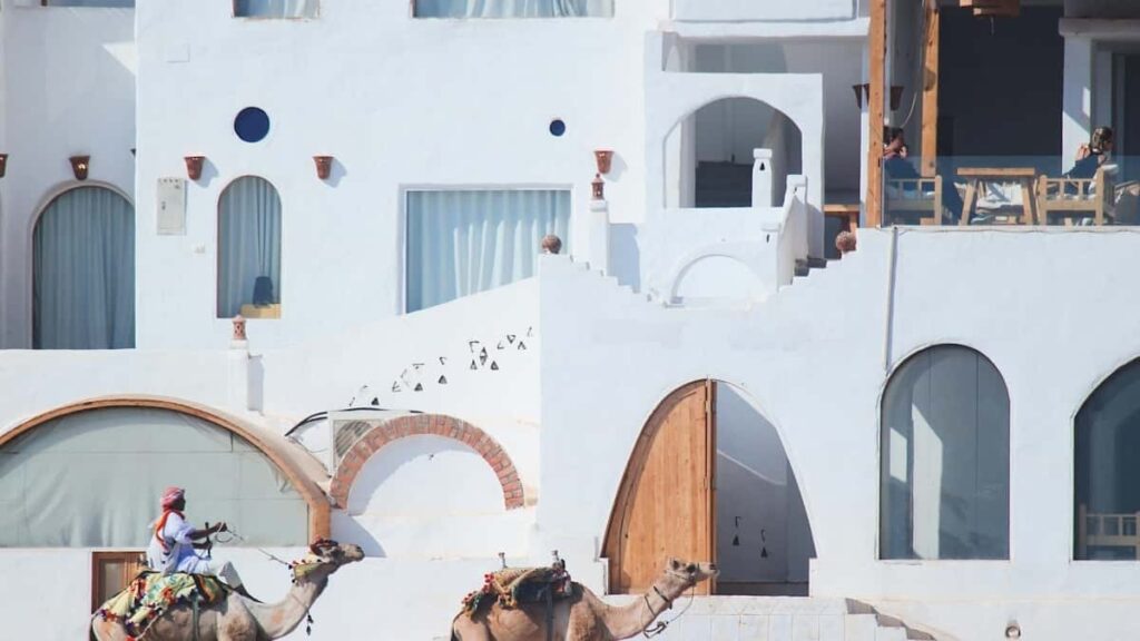 Roposo uzrindn Malayziya markalarna duzgun yanasma, mesaj sablonlar, numun outreach v vizual tlblr Azrbaycandan ckcyin unboxing v testimonial ucun praktik bldci.