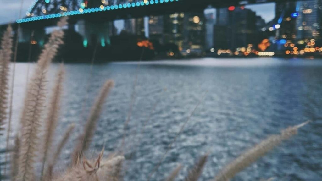 Azrbaycandan yaradclar ucun praktik yol xritsi: Threads uzrindn Nigeriya brendlrin nec catmaq, sponsorlu altlrdn nec istifad etmk v sxsi laqlri qazanca cevirmk.