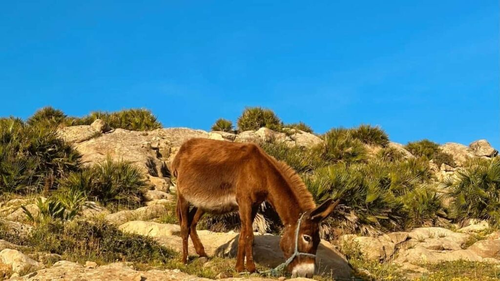 Snapchat uzrindn Luksemburq brendlri v turizm idarlri il mkdaslq ucun praktiki yol xritsi, yerli strategiyalar v numun yanasmalar.