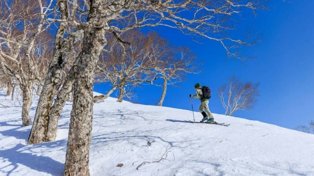 Azrbaycandan markalar ucun praktiki bldci: Serbiya Viber yaradclarn nec tapmaq, mhsul-seeding kampaniyalar qurmaq v nticni olcmk lokal strategiya v addm-addm taktika.