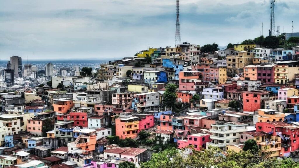 Taobao uzrindn Dominikan Respublikas brendlrin catmaq v mhsul lansmanlar ucun hycan yaratmaq uzr praktik, yerli v strategiya sasl bldci.