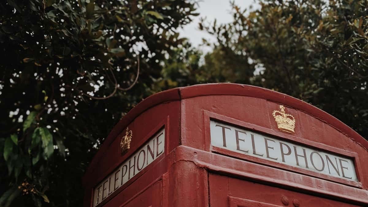 Yaponiya Netflix markalarına necə çatmaq və ambassador olmaq?
