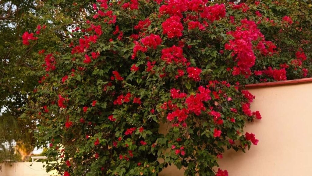 Finlandiyal Etsy yaradclarn tapmaq, qiymtlndirmk v qlobal bazarlarda mhsulunuzun diqqtini artrmaq ucun taktiki, lokal v praktiki yol xritsi.