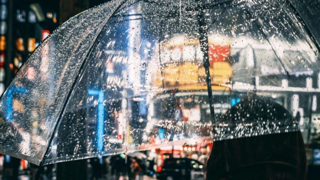 Azrbaycan reklamclar ucun Puerto Rico-dan Moj yaradclarn tapmaq v engagement-yonumlu kampaniyalar qurmaq uzr praktik, addm-addm bldci.