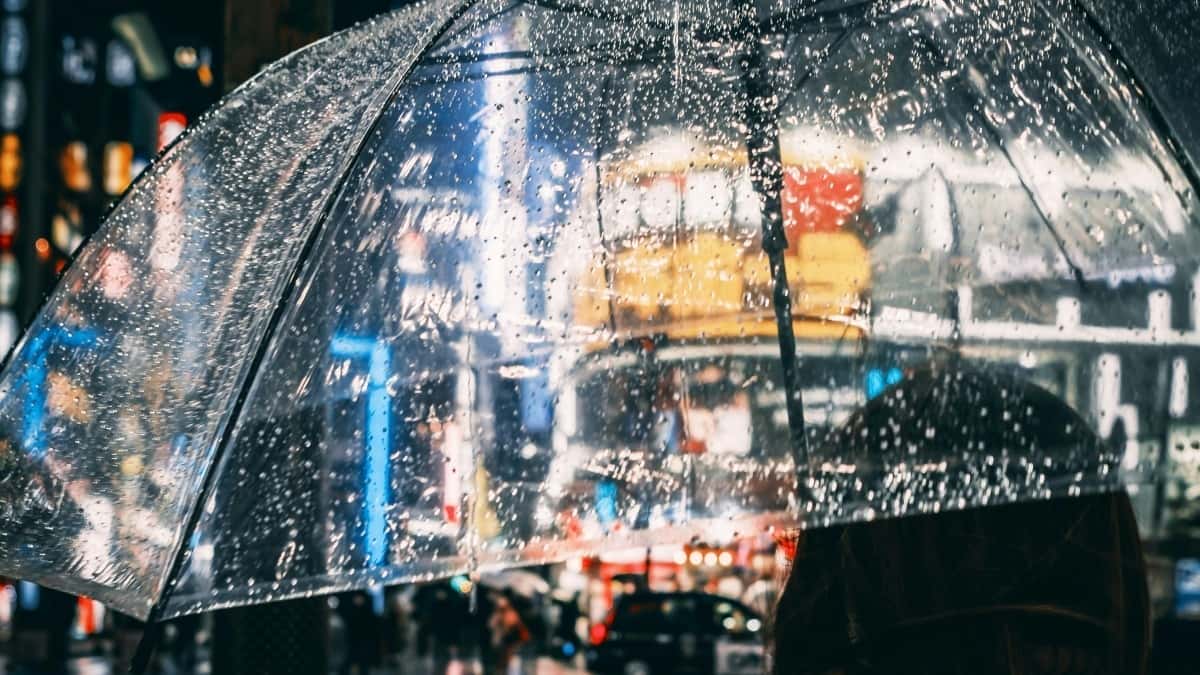 Puerto Rico Moj yaradıcılarını necə tapmaq?