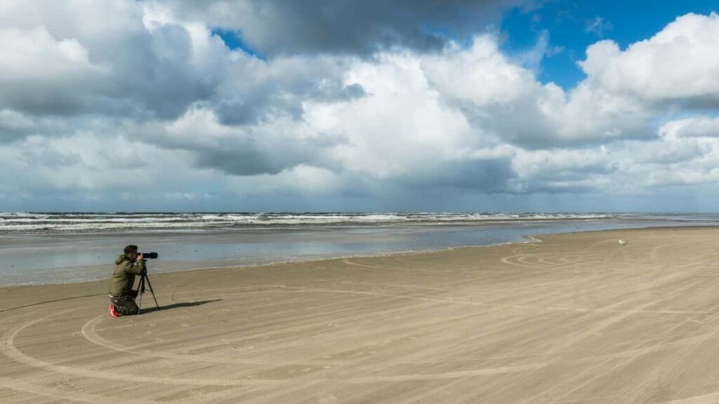 Azrbaycann yaradcs ucun praktiki bldci: Spotify-d Sudiyy brendlri il crosspromo etmk, lokal trendlr v taktiki addmlar.