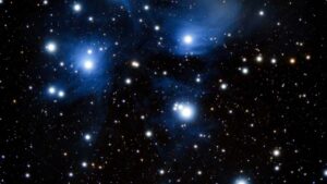 Azrbaycandan yaradclara praktik bldci: Amazon uzrindn Tunisiyal saglamlq v wellness brendlrin nec catmaq, mkdaslq formalar v yerli strateji taktikalar.